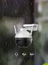 C8W P1.webp