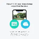 c8pfp8.webp